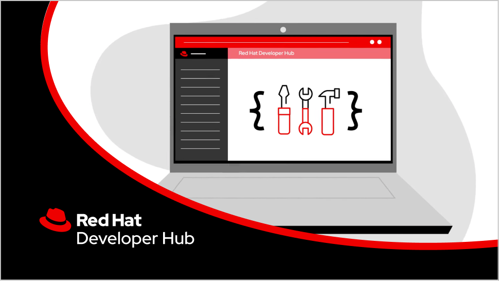 Developer Hub Overview